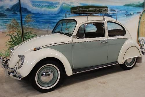 65 vw " cute * quality * show * financing/shipping