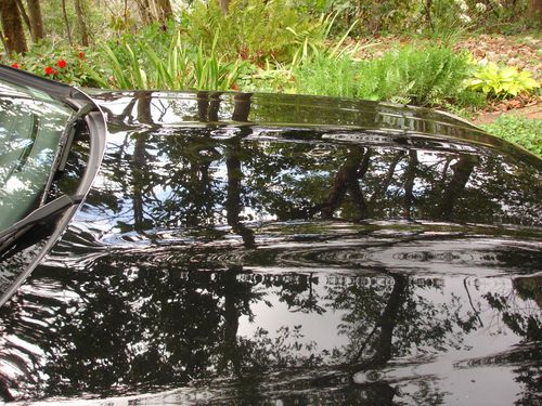 1999 Mercedes Benz SLK230 SLK-Class Kompressor Sport pckg 2 pass Coupe/Roadster, US $14,000.00, image 18