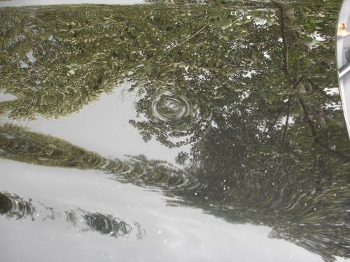 1999 Mercedes Benz SLK230 SLK-Class Kompressor Sport pckg 2 pass Coupe/Roadster, US $14,000.00, image 21