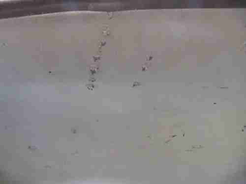 Honda Civic Hatchback, US $1,850.00, image 18