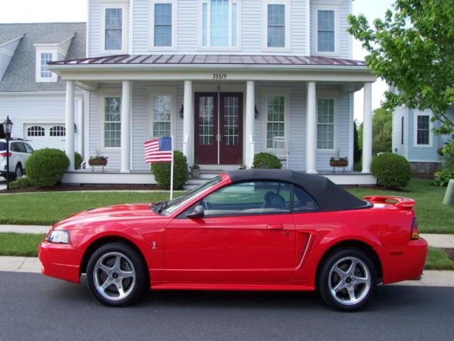 Ford mustang cobra