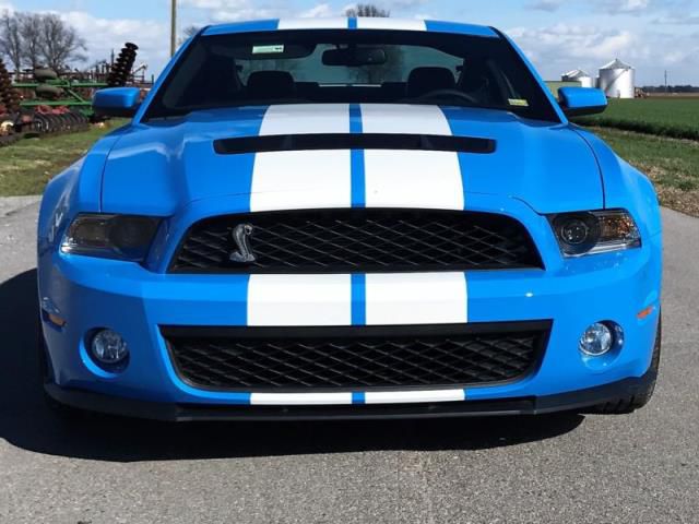 2010 ford mustang shelby gt 500