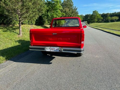 1981 ford f-100