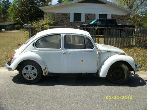 Volkswagen beetle