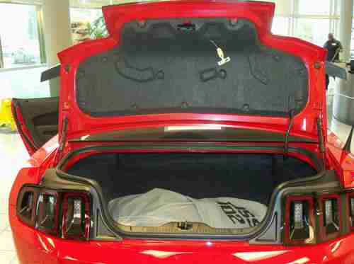 2013 Ford Mustang Boss 302, image 18