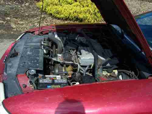 1995 FORD MUSTANG GT 5.0 5 SPD, image 11