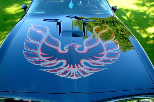 1977 pontiac trans am - nice!