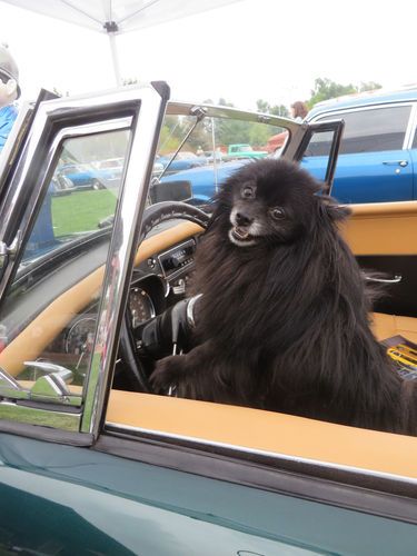 1965 MGB Convertible Show Car Very Low Original Miles 55,101 Actual, image 7