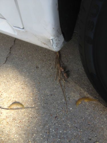 2005 Pontiac Bonneville GXP Sedan 4-Door 4.6L, US $8,500.00, image 12