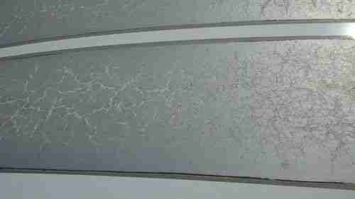 Shelby GT 2007, US $16,750.00, image 4