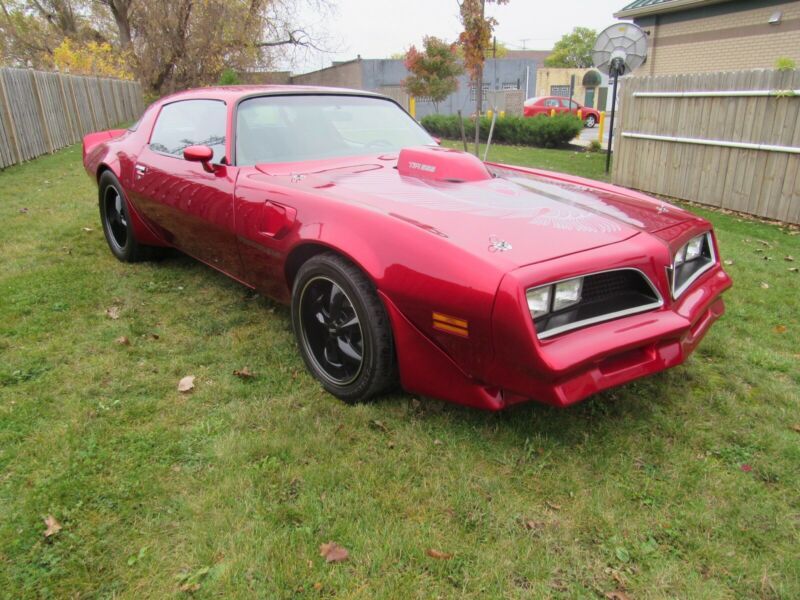 1981 pontiac trans am trans am