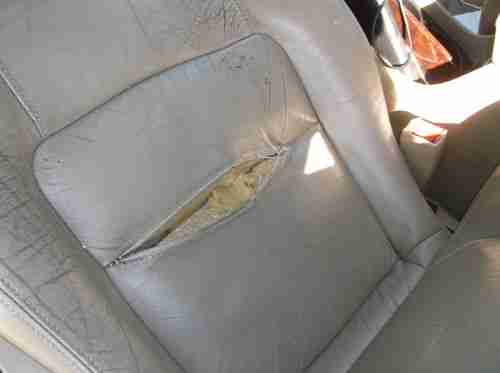 1998 Honda Accord LX 2 Door Runs Great, image 12