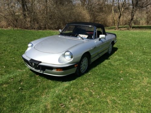 Alfa romeo spider quadrifoglio