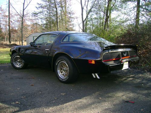 1981 pontiac trans am