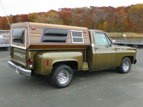 1976 c-10 stepside cheyenne 33,000 orig. miles fact a/c camper