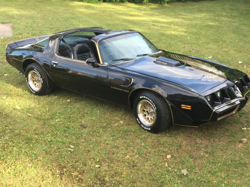 1981 pontiac trans am