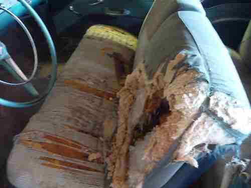 ORIGINAL 1955 CHEVROLET MODEL 210 2-DOOR HARDTOP 6CYL. POWERGLIDE, image 18