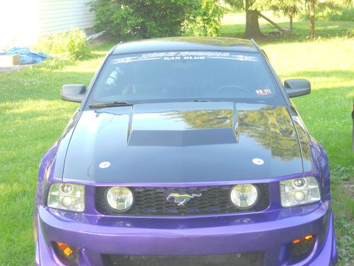 Beautiful Showroom Mustang, image 2