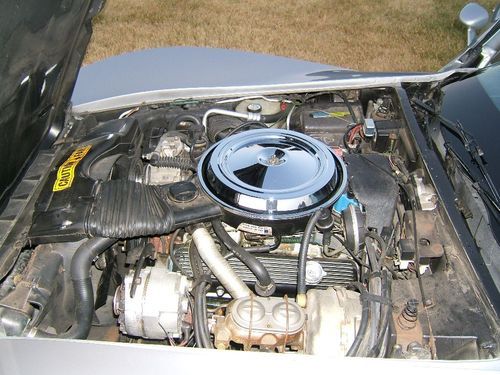 1981 Corvette Coupe, 350 w/ Automatic, image 15