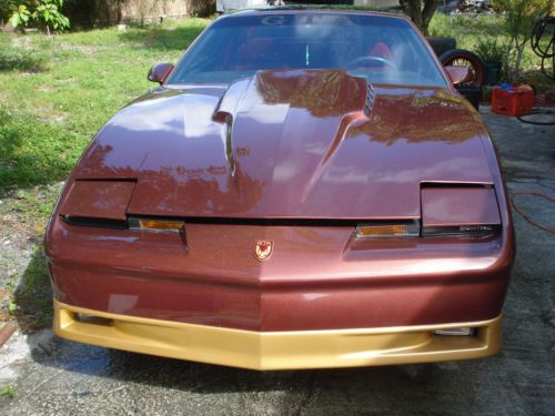 1987 pontiac firebird base coupe 2-door 5.0l gta