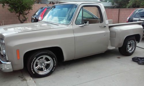 1979 chevy step c-10