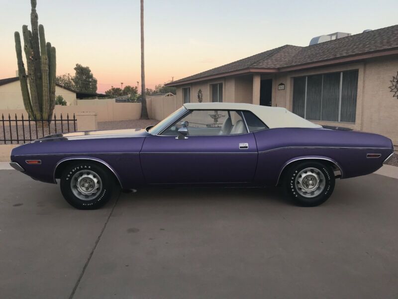 1971 dodge challenger convertible survivor