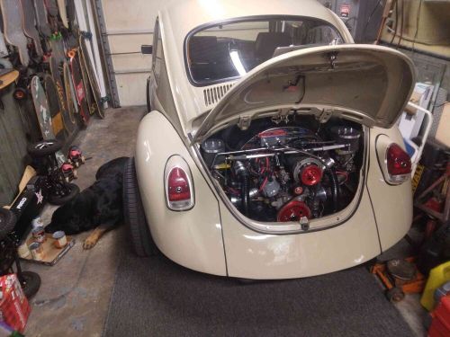 1969 volkswagen beetle