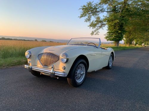 1956 Austin Healey Other, US $97,500.00, image 28