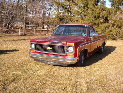 1973 custom chevrolet pickup