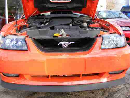 2004 Ford Mustang Mach I Coupe 2-Door 4.6L, image 14