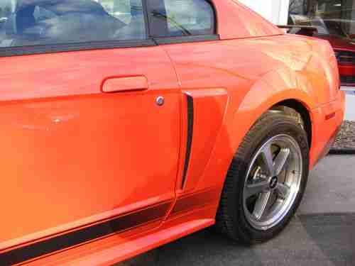 2004 Ford Mustang Mach I Coupe 2-Door 4.6L, image 17