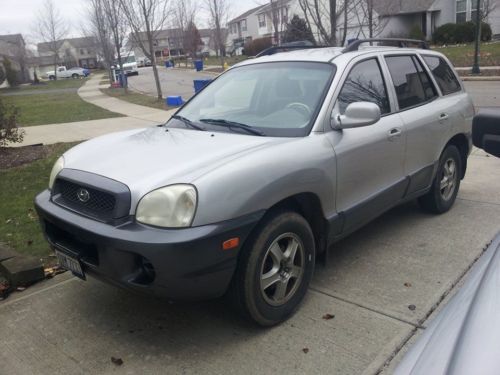 2002 hyudai santa fe. runs fine, driven daily, but needs some tlc.