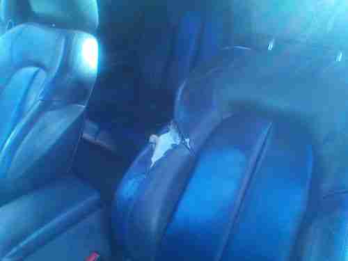 2000 Mercedes-Benz CLK320 Base Coupe 2-Door 3.2L, image 8