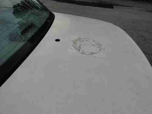 2003 White Ford Crown Victoria 4 Door Sedan One Owner, image 15