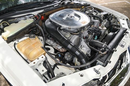 1985 Mercedes-Benz 500-Series Pre-Merger AMG | Silver Star Certificate, US $54,900.00, image 11