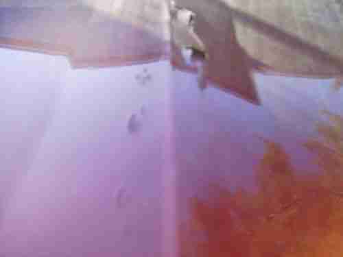 1955 Chevrolet Bel Air, US $21,300.00, image 8