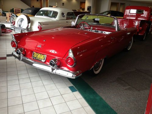 1955 ford thunderbird