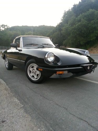 1988 alfa romeo spider veloce