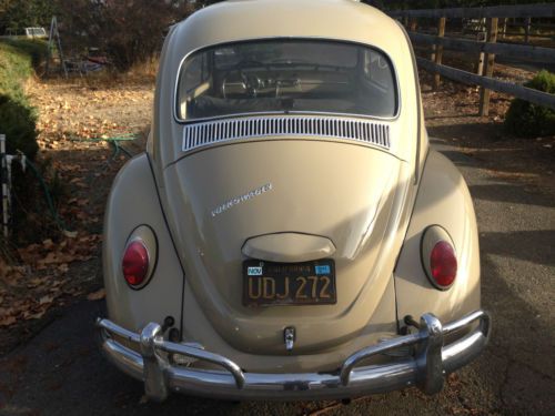 1967 vw bug , excellent condition