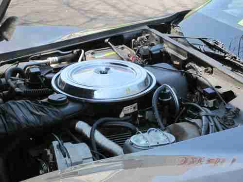 1981 chevrolet corvette, image 3
