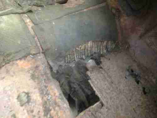 1956 chevrolet chevy bel air 2 door solid body well worth restoring 2 dr car, US $3,600.00, image 17