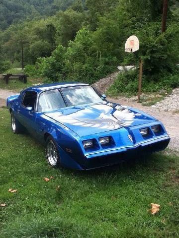 1981 pontiac firebird trans am coupe 2-door 4.9l