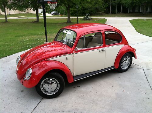 1965 volkswagen beetle, bug