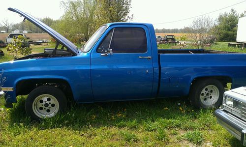 1981 chevrolet truck 1/2 ton