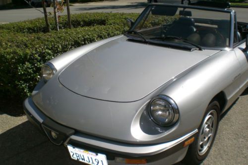 1984 alfa romeo spider spider veloce convertible