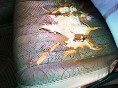 NO RESERVE HI BID WINS 2OWNER CONVERTIBLE SERVICED LEATHER AUTOMATIC 28MPG V6 FL, image 12