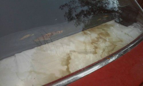 1966 chevy impalla 4dr, image 2