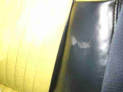 C5 Corvette Pace Car 6 speed Convertible, image 3