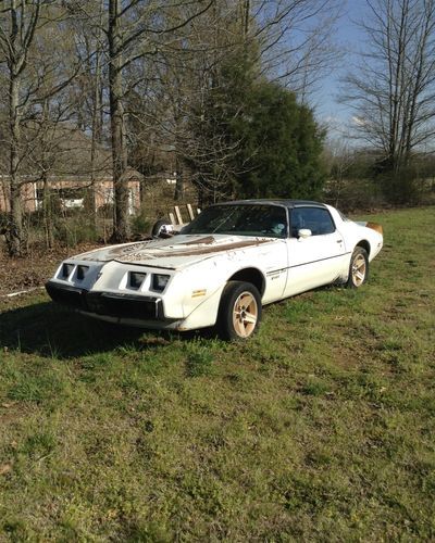 1981 pontiac turbo trans am nascar addition