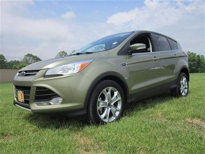 2013 sel 1.6l auto ginger ale metallic